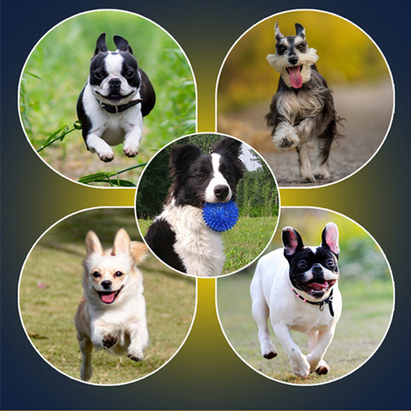 jak zredukować moc niszczenia psów