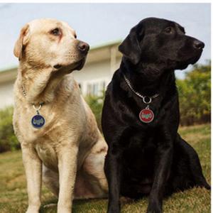 2018 Hot Sale Dog lub Cat ID Tagi Grawerowane lub QR Code Pet Tag