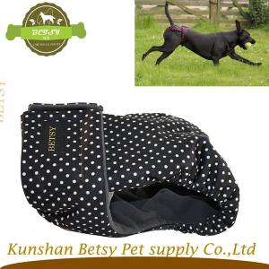 Damskie spodnie sezonowe wysokiej jakości