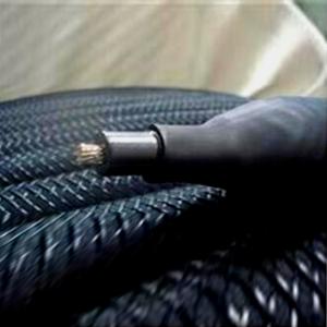 przewodzące polimer elastyczne anoda