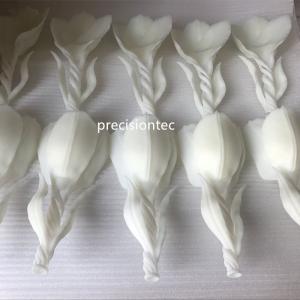 Roztwory prototypowe