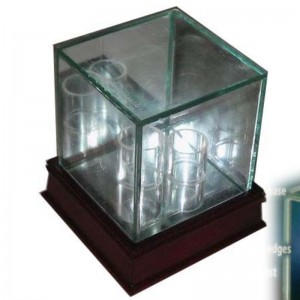 Pojedyncza gablota ze szkła baseballowego