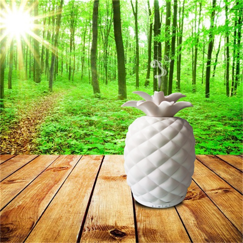 2018 nowe wynalazki unikalny ceramiczny dyfuzor w kształcie ananasa