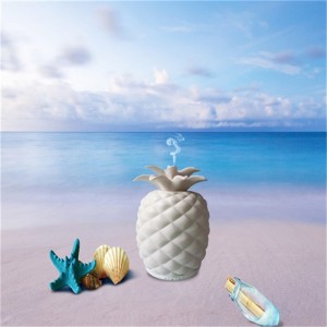 2018 nowe wynalazki unikalny ceramiczny dyfuzor w kształcie ananasa