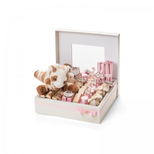 Gorąco sprzedam opakowanie macaron z pokrywką Macaron