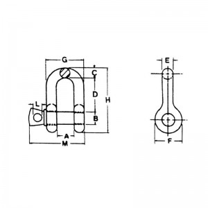 Szekla ze sworzniem łańcuchowym z kutym łbem typu US