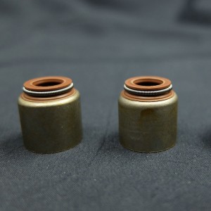 Dostawca z Chin Uszczelnienie olejowe trzonka zaworu do samochodów Renault