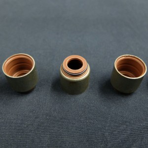 Dostawca z Chin Uszczelnienie olejowe trzonka zaworu do samochodów Renault