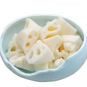 ZAMROŻONA KOSZULKA LOTOSOWA