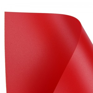 Matowy, piaszczysto-plastikowy arkusz PP z tworzywa sztucznego