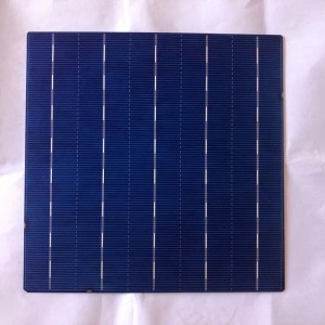 Komórka polikrystaliczna