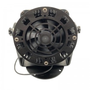 Zewnętrzna niestandardowa lampa krajobrazowa Lampa punktowa Obraz Światło projekcyjne