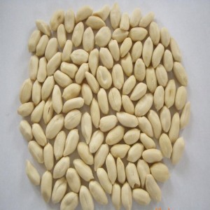 Maszyna do obierania na sucho orzeszków ziemnych