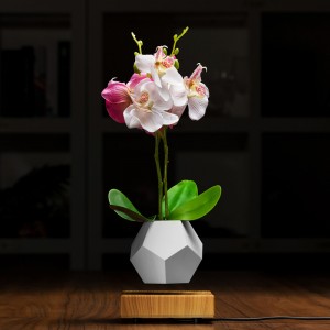 magnetyczne lewitujące pływające dno powietrzne donice bonsai PA-0708