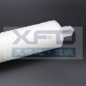 Plisowana wkładka filtracyjna --- RFG