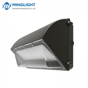 Lampa ścienna LED WPB2 100W