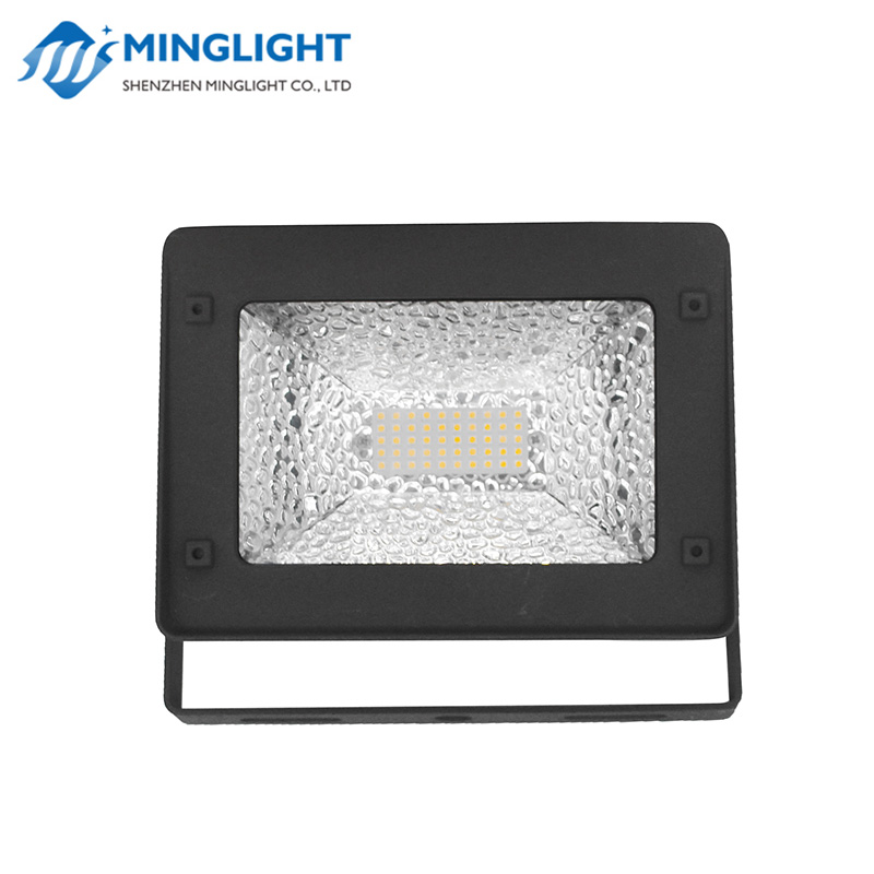 LED Flood Light FL30 30 W.