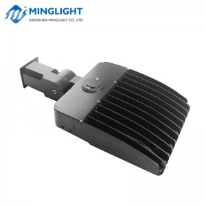 LED Parking / Flood Light FL80 100W
