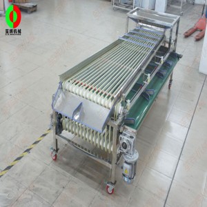 Równiarka do owoców FJ-3000