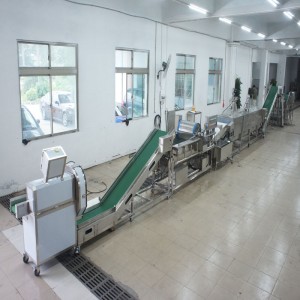 Duża linia do zabijania porów