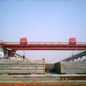 Suwnica dwuwiązkowa z podwójnym wózkiem