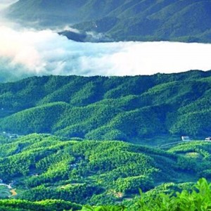 Herbata czarna Hunan Anhua do pielęgnacji herbaty