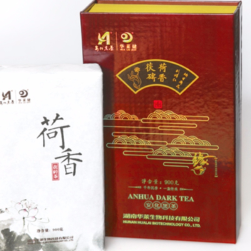 M ustawia lotosową herbatę pachnącą fuzhuan herbatą Hunan anhua dla zdrowia