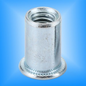 Okrągły korpus z płaską głową