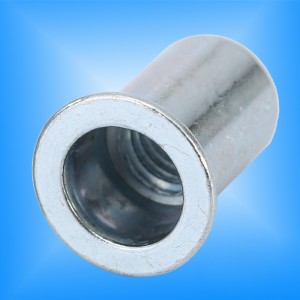 Okrągły korpus z płaską głową