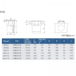 Zmniejsz sześciokątny korpus wewnętrzny sześciokątny