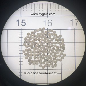 2019 Chiny Producent Micro Precision Mały magnes pierścieniowy SmCo