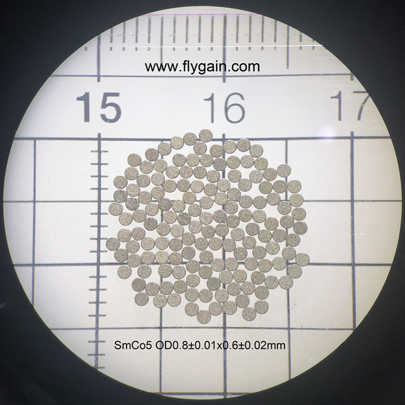 2019 Chiny Producent Micro Precision Mały magnes pierścieniowy SmCo