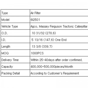 Filtr powietrza (6I2501)