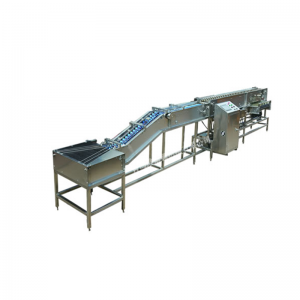 WF100 Klasyfikacja elektronicznego ważenia jaj