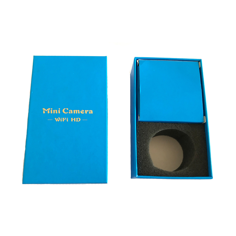 mini kamera IP