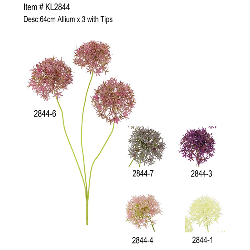 64cm Allium x 3 z napiwkami
