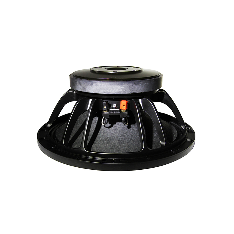 Głośnik YH-DP10D-08F