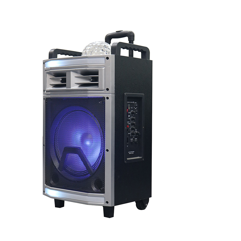 Głośnik Trollry Y-B22-12H