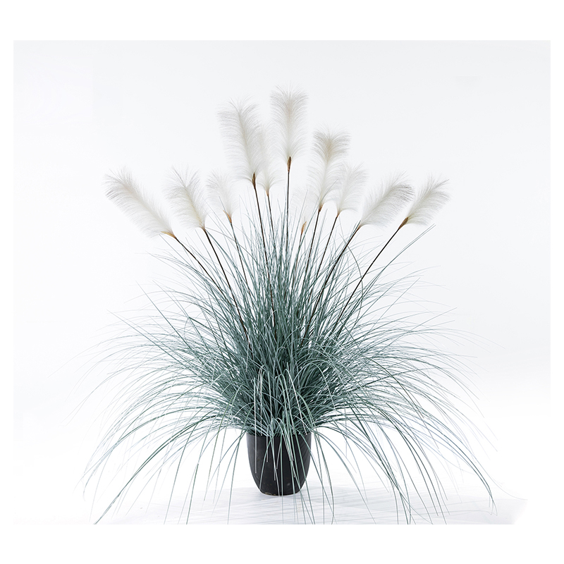 OH109200017/ OH1092000018