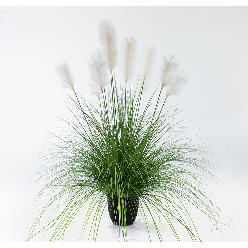 OH109200017/ OH1092000018