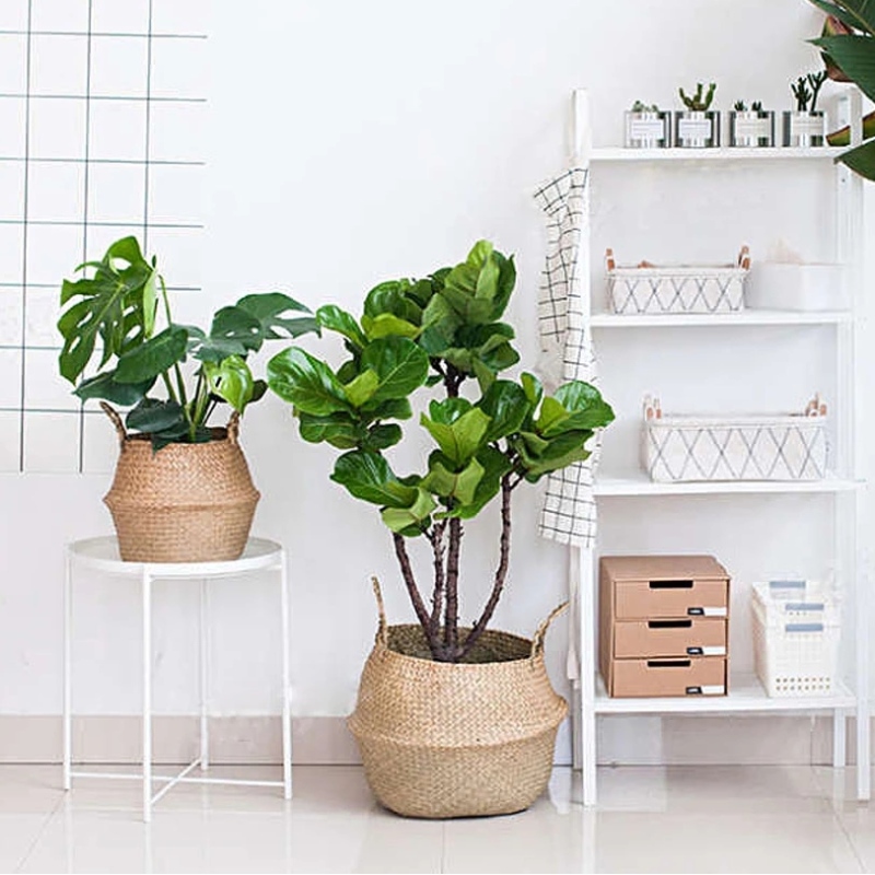 Stojący na rośliny kosz na trawę z trawy morskiej do przechowywania wiszącego kosza z trawy morskiej