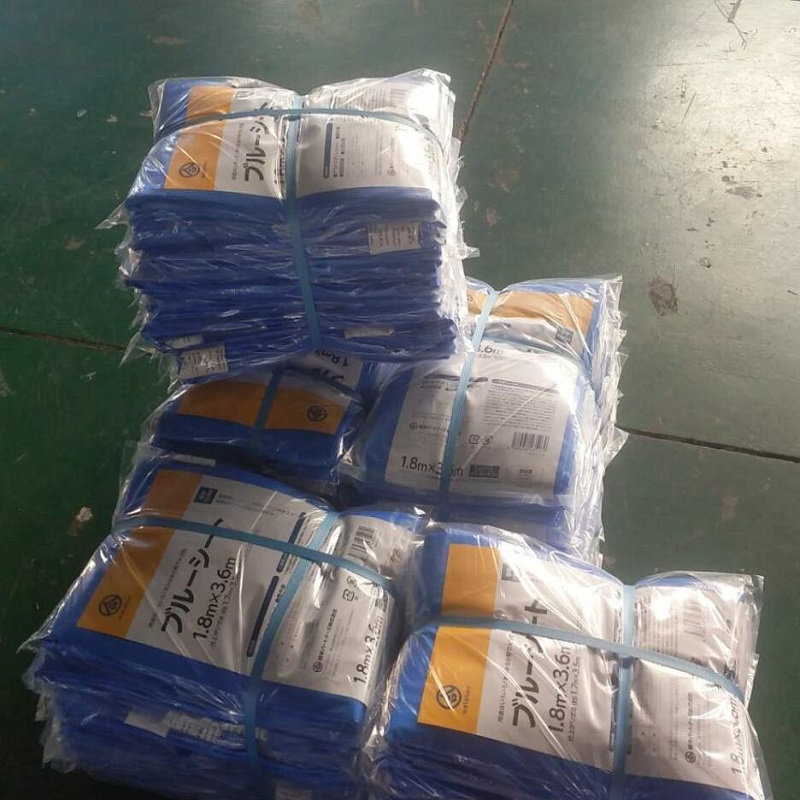 Plandeka w kolorze zielonym HDPE Plandeka LDPE Laminowany PE Plandeka Ciężarówka Plandeka Arkusz z tworzywa sztucznego