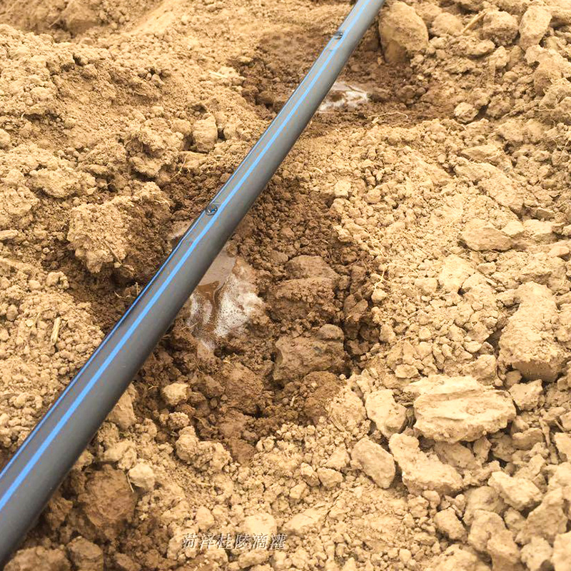 Jakie są główne elementy systemu nawadniania kroplówki?