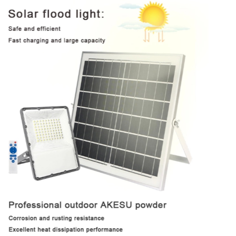 IP65 20W 30W 50W 100W 200W Led Solar Flood Light z przenośnym kontrolerem