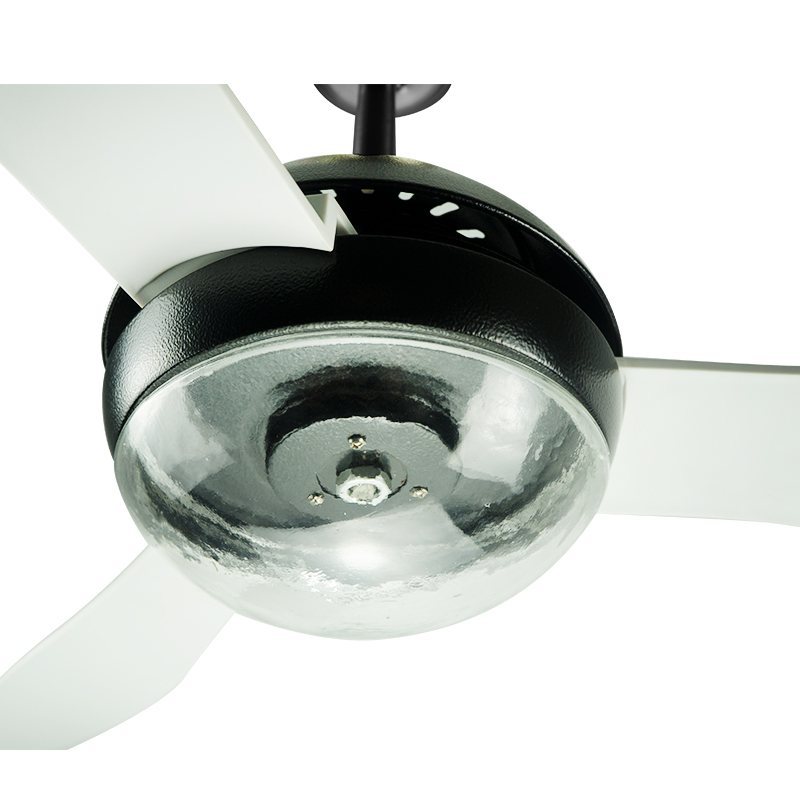CFL58-D308