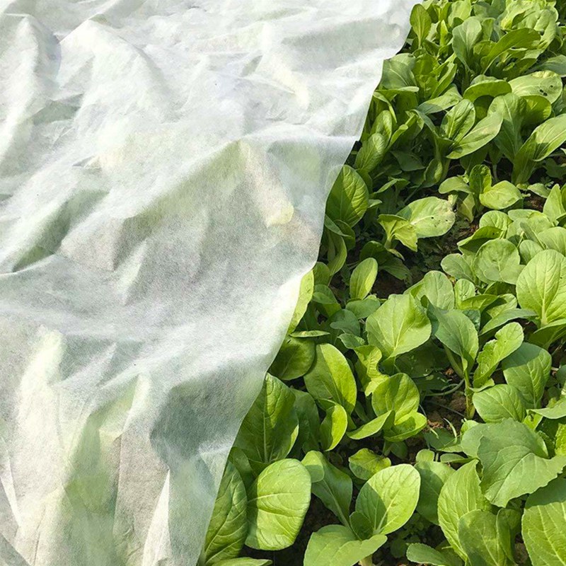 PP Nonwoven Agriculture Cover Geowłóknina Sadzenie Rosną torby Tkanina na produkty ogrodowe