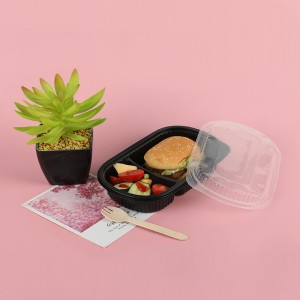 Pudełko na Lunch 520A