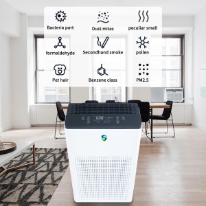 Podwójny oczyszczacz (aktywne oczyszczanie + pasywne oczyszczanie)