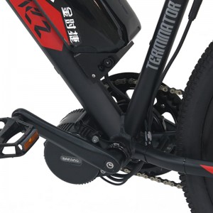 Nazwa produktu S6-Z1