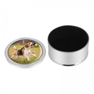 Metalowa urna na prochy psa